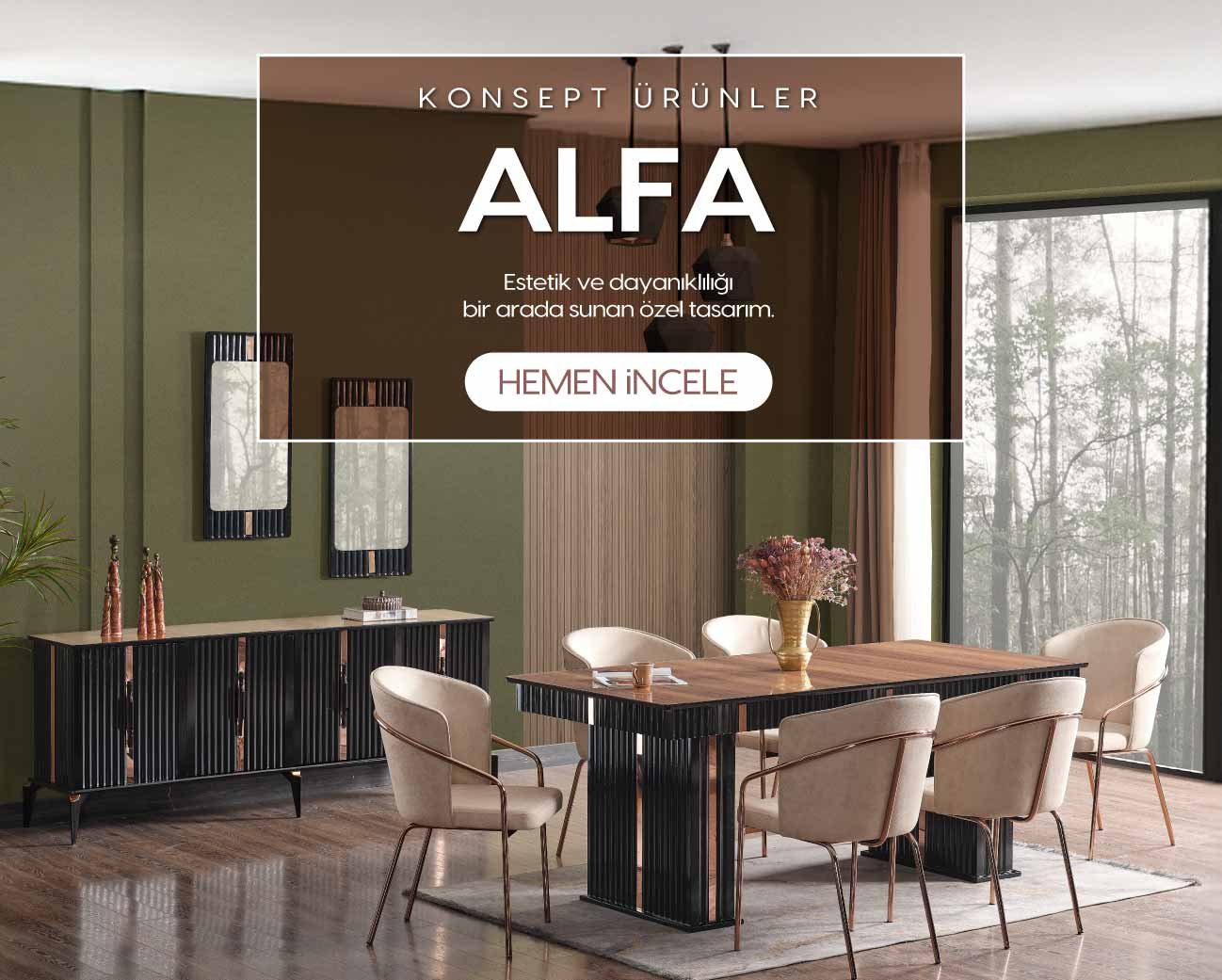 entry_slider_mobile_image_3